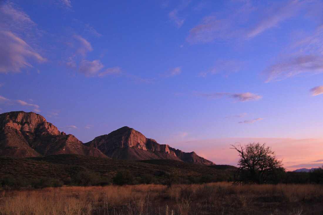 Image of a purple sky in Arizona. Mountains are visible in the background of a dry field and tree.